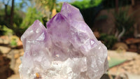 Natural Jacaranda Amethyst Clusters x 2 From Zambia