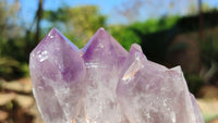 Natural Jacaranda Amethyst Clusters x 2 From Zambia