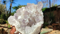 Natural Jacaranda Amethyst Clusters x 2 From Zambia