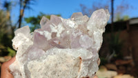 Natural Jacaranda Amethyst Clusters x 2 From Zambia