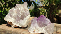 Natural Jacaranda Amethyst Clusters x 2 From Zambia