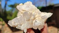 Natural Lovely Flower Brandberg Quartz Clusters x 12 From Brandberg, Namibia