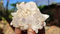 Natural Lovely Flower Brandberg Quartz Clusters x 12 From Brandberg, Namibia