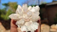 Natural Lovely Flower Brandberg Quartz Clusters x 12 From Brandberg, Namibia