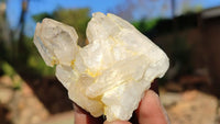 Natural Lovely Flower Brandberg Quartz Clusters x 12 From Brandberg, Namibia