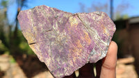 Natural Metallic Purpurite Cobbed Specimens x 12 From Erongo, Namibia