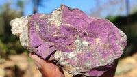 Natural Metallic Purpurite Cobbed Specimens x 12 From Erongo, Namibia