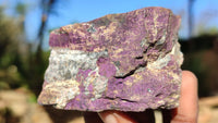 Natural Metallic Purpurite Cobbed Specimens x 12 From Erongo, Namibia