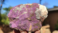 Natural Metallic Purpurite Cobbed Specimens x 12 From Erongo, Namibia