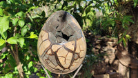 Polished Septerye Sauvage "Dragons" Egg Geode x 1 From Mahajanga, Madagascar