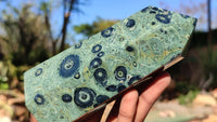 Polished Stromatolite Jasper / Nebula Stone Points x 2 From Katsepy, Madagascar