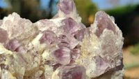 Natural Sugar Amethyst Clusters  x 4 From Solwezi, Zambia