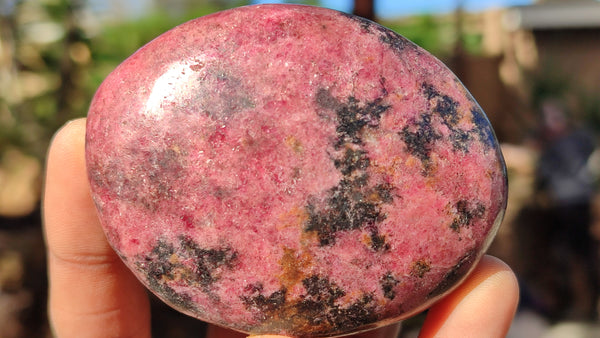 Polished Red Rhodonite Free Forms x 6 From Zimbabwe