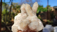 Natural White Spirit Quartz Clusters x 12 From Boekenhouthoek, South Africa