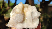 Natural White Spirit Quartz Clusters x 12 From Boekenhouthoek, South Africa