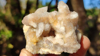 Natural White Spirit Quartz Clusters x 12 From Boekenhouthoek, South Africa