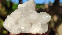 Natural White Spirit Quartz Clusters x 12 From Boekenhouthoek, South Africa