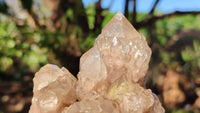 Natural Cascading White Phantom Smokey Quartz Clusters x 2 From Luena, Congo