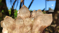 Natural Cascading White Phantom Smokey Quartz Clusters x 2 From Luena, Congo