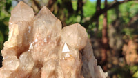 Natural Cascading White Phantom Smokey Quartz Clusters x 2 From Luena, Congo