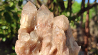 Natural Cascading White Phantom Smokey Quartz Clusters x 2 From Luena, Congo