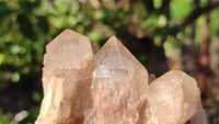 Natural Cascading White Phantom Smokey Quartz Clusters x 2 From Luena, Congo