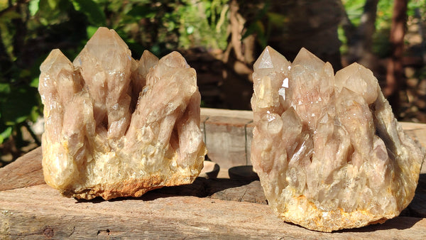 Natural Cascading White Phantom Smokey Quartz Clusters x 2 From Luena, Congo