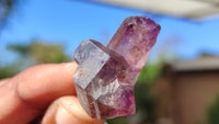 Natural Mini Window Amethyst Crystals  x 70 From Chiredzi, Zimbabwe