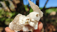 Natural Drusy Quartz Coated Calcite Pseudomorph Crystals x 12 From Alberts Mountain, Lesotho