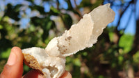 Natural Drusy Quartz Coated Calcite Pseudomorph Crystals x 12 From Alberts Mountain, Lesotho