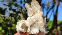 Natural Drusy Quartz Coated Calcite Pseudomorph Crystals x 12 From Alberts Mountain, Lesotho