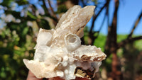 Natural Drusy Quartz Coated Calcite Pseudomorph Crystals x 12 From Alberts Mountain, Lesotho