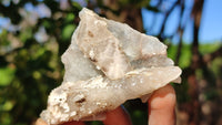 Natural Drusy Quartz Coated Calcite Pseudomorph Crystals x 12 From Alberts Mountain, Lesotho