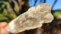 Natural Drusy Quartz Coated Calcite Pseudomorph Crystals x 12 From Alberts Mountain, Lesotho