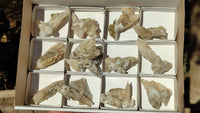 Natural Drusy Quartz Coated Calcite Pseudomorph Crystals x 12 From Alberts Mountain, Lesotho