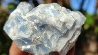 Natural New Sky Blue Calcite Specimens  x 24 From Spitzkop, Namibia