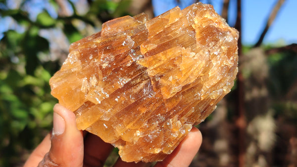 Natural Honey Aragonite Etched & Cobbed Pieces  x 6 From Southern Africa