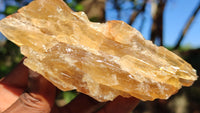 Natural Honey Aragonite Etched & Cobbed Pieces  x 6 From Southern Africa