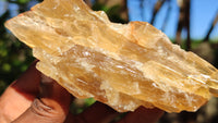 Natural Honey Aragonite Etched & Cobbed Pieces  x 6 From Southern Africa