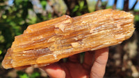 Natural Honey Aragonite Etched & Cobbed Pieces  x 6 From Southern Africa