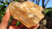 Natural Honey Aragonite Etched & Cobbed Pieces  x 6 From Southern Africa