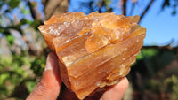 Natural Honey Aragonite Etched & Cobbed Pieces  x 6 From Southern Africa