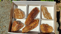 Natural Honey Aragonite Etched & Cobbed Pieces  x 6 From Southern Africa