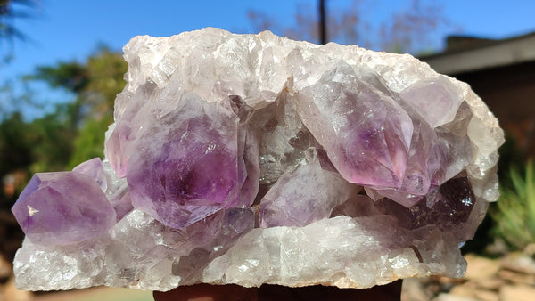 Natural Jacaranda Amethyst Clusters x 2 From Zambia