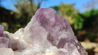 Natural Jacaranda Amethyst Clusters x 2 From Zambia