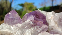 Natural Jacaranda Amethyst Clusters x 2 From Zambia