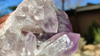 Natural Jacaranda Amethyst Clusters x 2 From Zambia