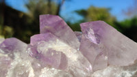 Natural Jacaranda Amethyst Clusters x 2 From Zambia