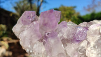 Natural Jacaranda Amethyst Clusters x 2 From Zambia