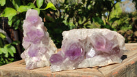 Natural Jacaranda Amethyst Clusters x 2 From Zambia